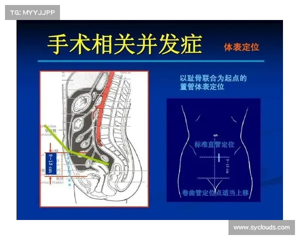 腰部组织在人体健康中的重要性与现代医学研究的进展分析 腰部组织在人体健康中的重要性与现代医学研究的进展分析